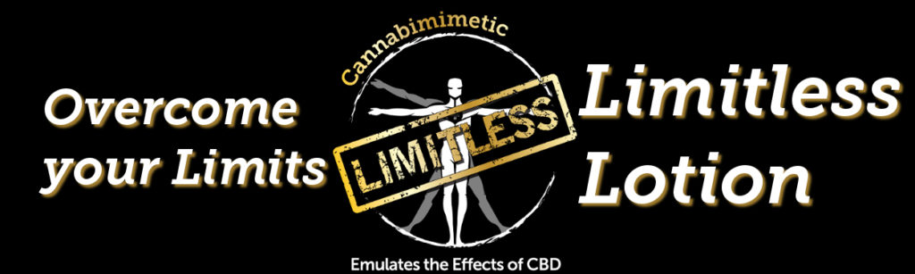 Limitless Banner 330